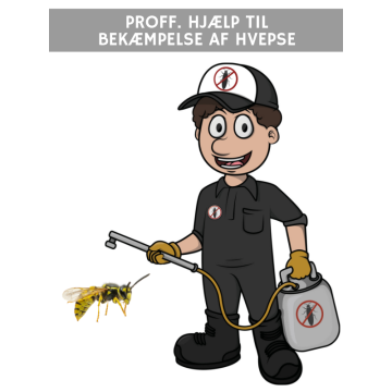 Hvepsebo - Bestil hjælp til bekæmpelse